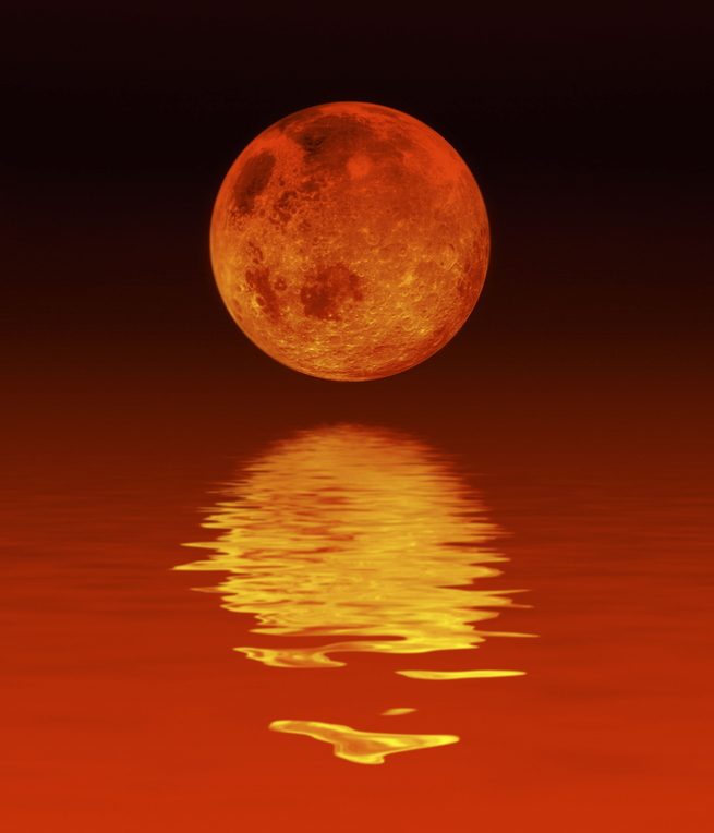 Contrition book cover